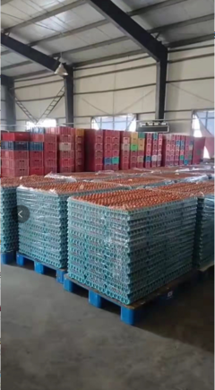 德惠市鴻德商貿(mào) 春節(jié)前后蛋價(jià)弱勢(shì)分析，3月份有望回暖